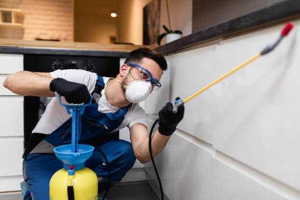 Professional Pest Control in Oyster Bay Cove, NY