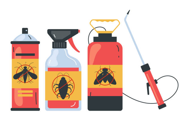 Wasp Removal Services in Oyster Bay Cove, NY