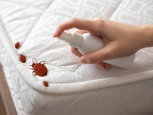 Pest Control for Restaurants in Oyster Bay Cove, NY