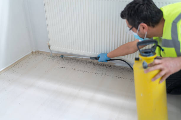 Best Residential Pest Control  in Oyster Bay Cove, NY